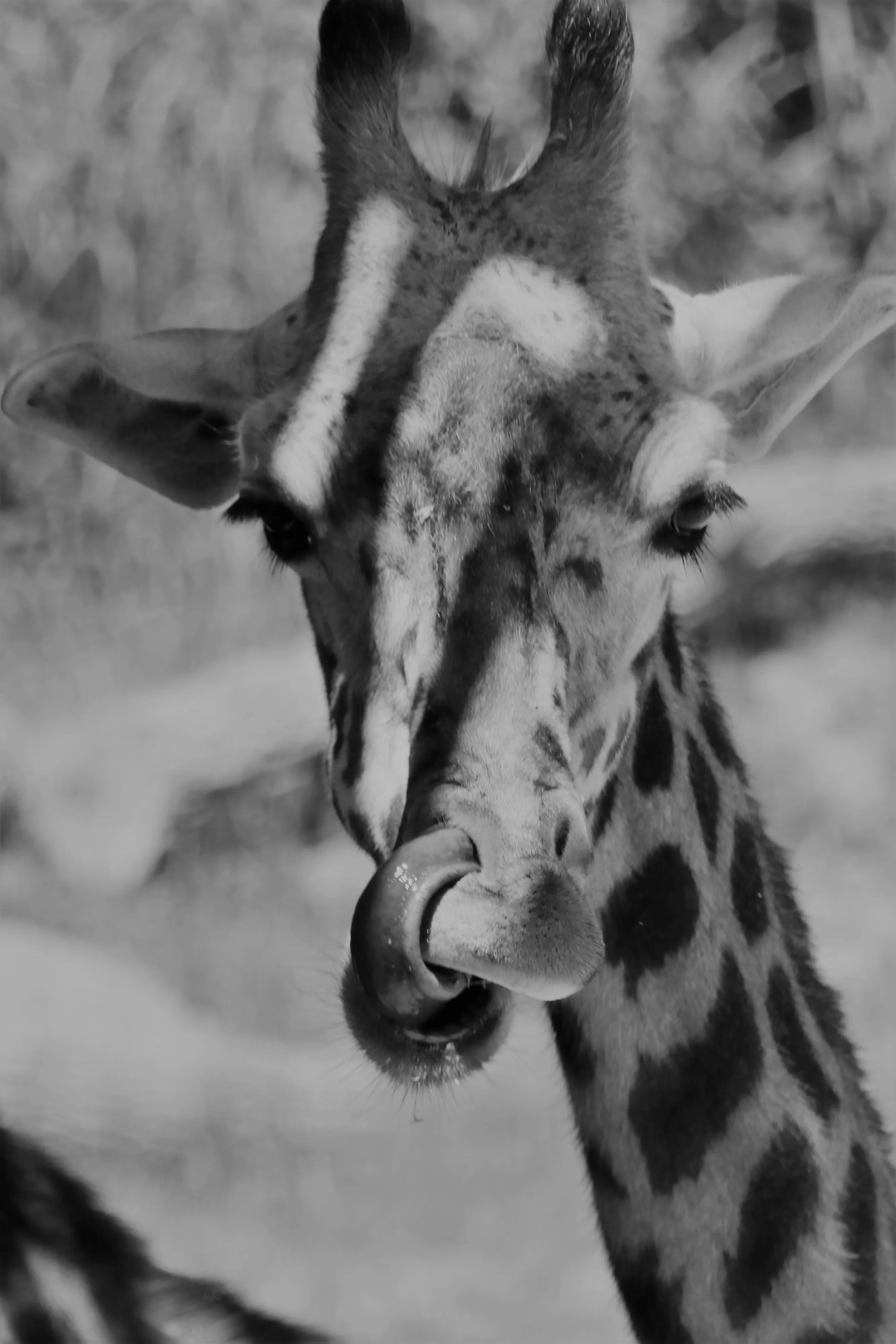 04-IMG_4575